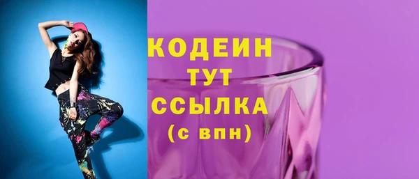 индика Абинск