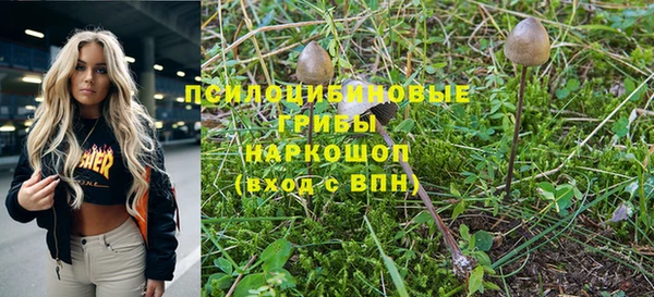 индика Абинск