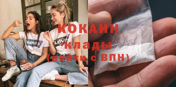 индика Абинск