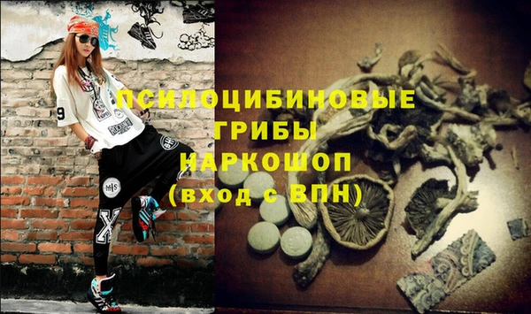 молекула духа Алзамай
