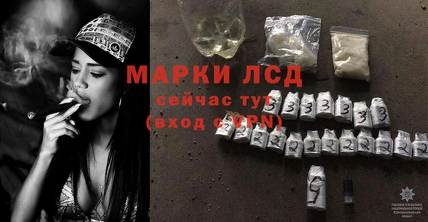 индика Абинск