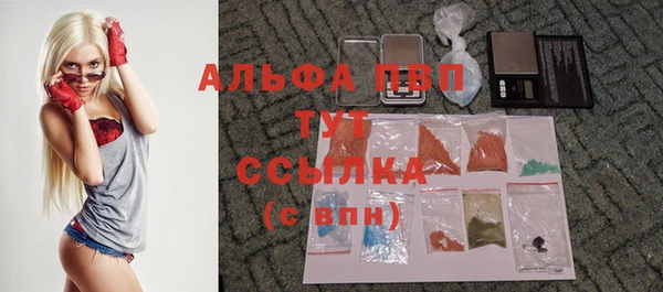 индика Абинск