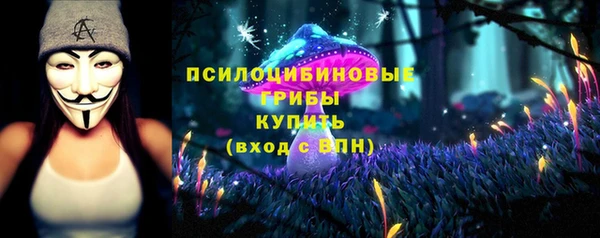 индика Абинск