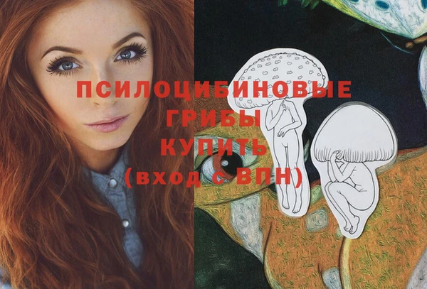 СК Абдулино