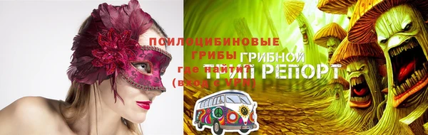 СК Абдулино