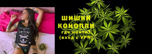 индика Абинск